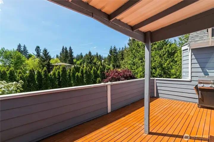 trees and bushes provide great privacy trees and bushes provide great privacy