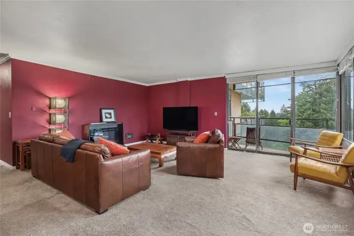 Living room view, you will love the cozy electric fireplace and the patio/deck off of this room, huge windows brining in all the views and light.