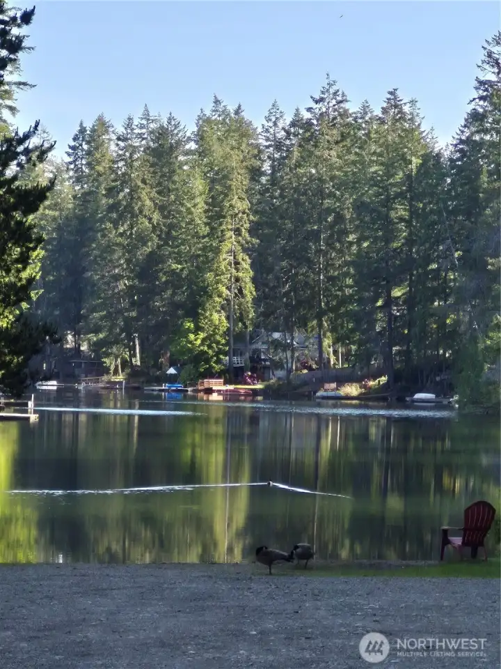 This 37-acre lake offers so much fun in the sun or in the winter for cozy get a ways.  A multitude of water activities are available to enjoy.  Fish for rainbow trout or large mouth bass. Swim, kayak, paddle board, boat or pedal boat, to your hearts content from your own backyard.