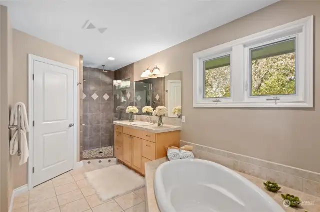 Primary bathroom with large walk-in closet and water closet