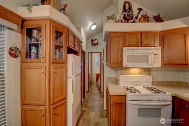 Fridge and pantry/cabinets