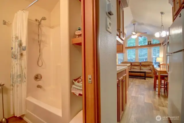 Bathroom and shelving for storage