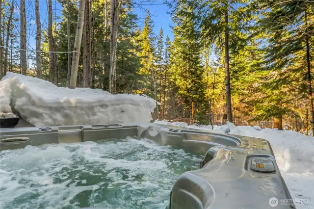 Separate private hot tub for the ADU