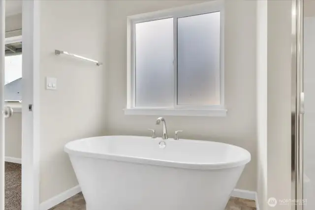 Master Bath Soaking Tub