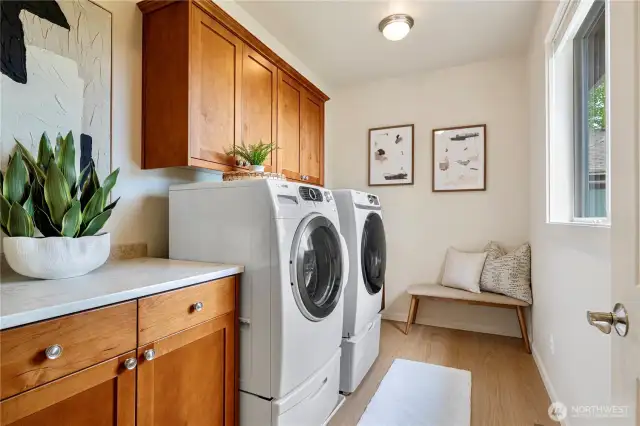 A spacious, high-end washer and dryer set that effortlessly combines luxury with functionality.