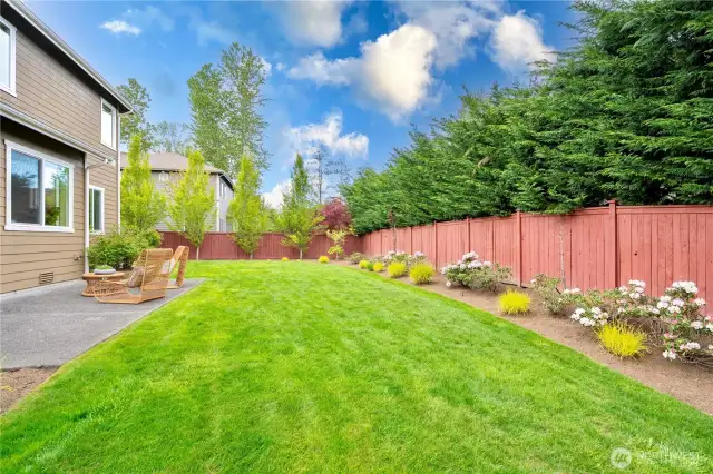 Beautifully landscaped yard with a variety of plants adding color and charm