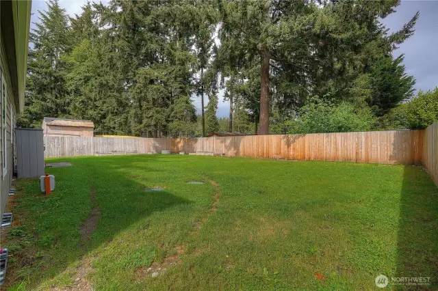 View of the backyard from the right gated entry.
