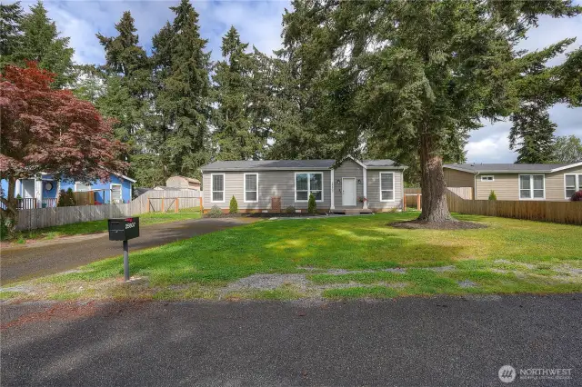 Nice large lot with lots of room to park both off street and on the paved driveway.