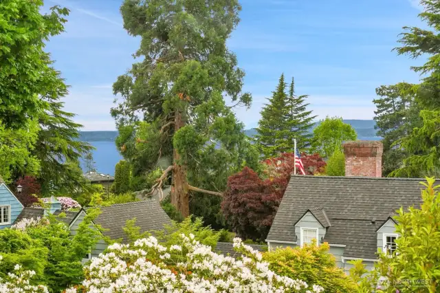 Outstanding western-facing Puget Sound and Olympic Mountain views from every room on the second floor (aside from the bathroom).