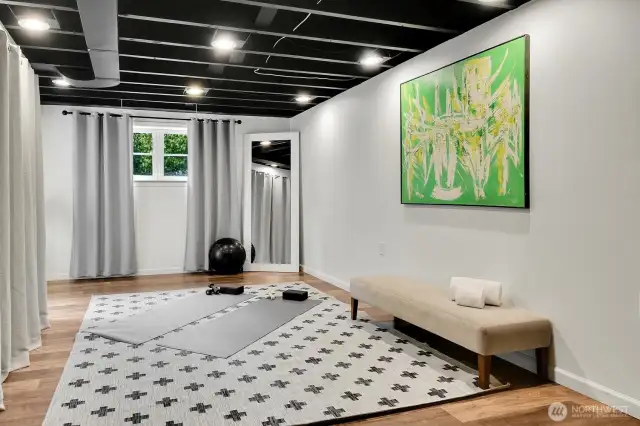 bright and spacious basement family room/flex space with access to the back yard.