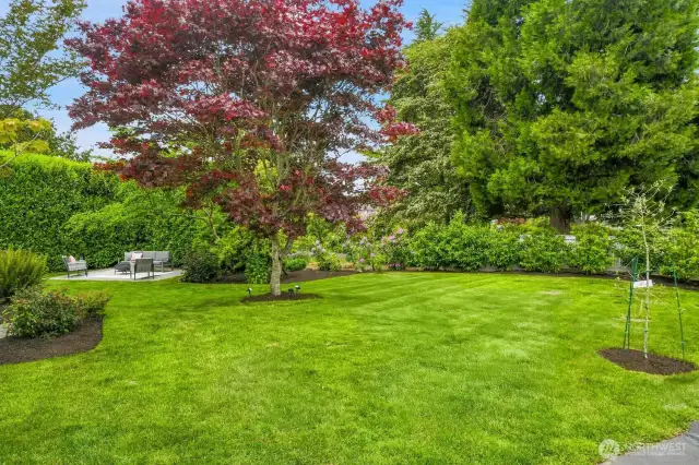 Large and level lawn with plenty of privacy.