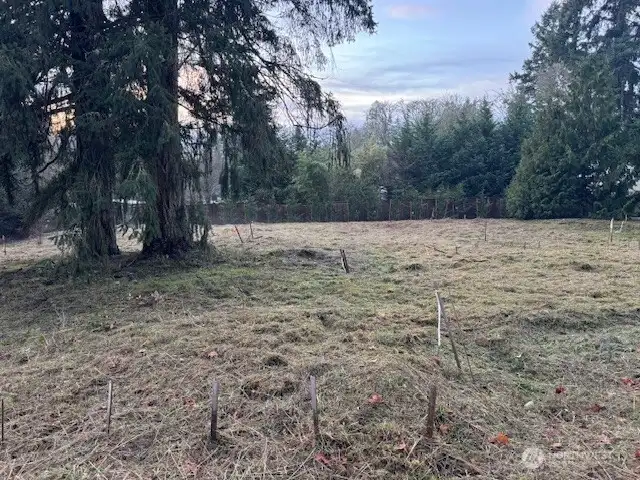 2025-12-13 Westerly facing Picture taken from 52nd Ave. S. at the approximate mid-point of the northerly .33 acres of that includes .60 acres total.