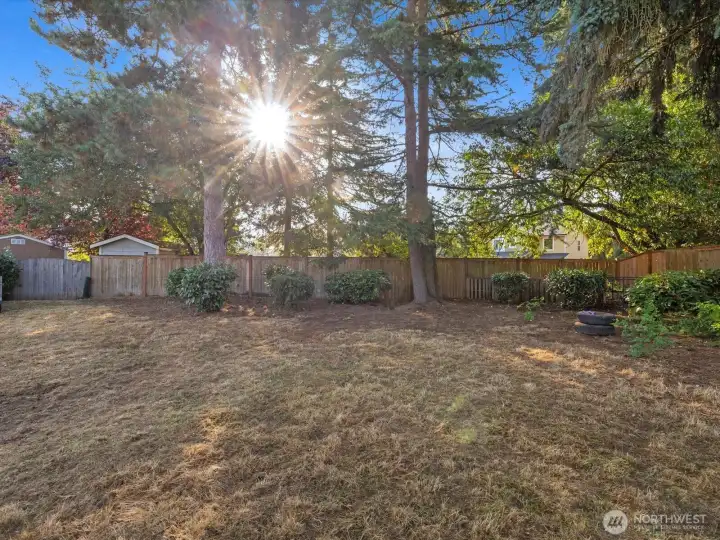 Don't miss all the mature trees in the front and back yard.
