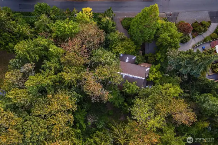 Over 12,000 square foot lot.  Zoned R12