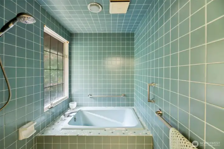 Japanese Soaking Tub and Steam Room