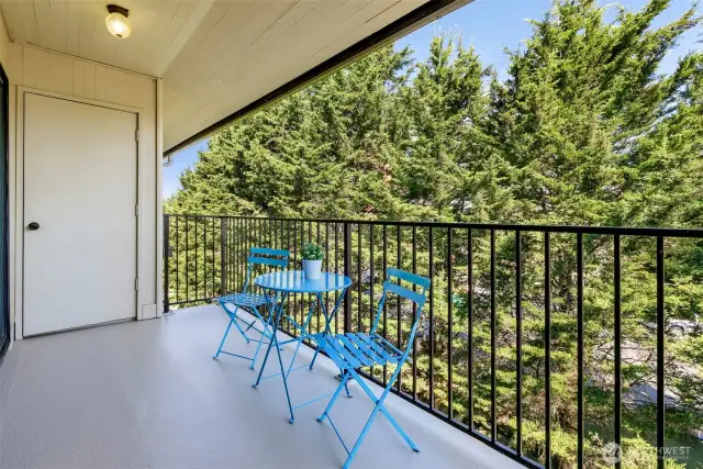 The oversized balcony offers enough room for a sitting area & planter boxes. It is a lovely place to hang out after work or on weekends. Behind the door is a good size storage room.