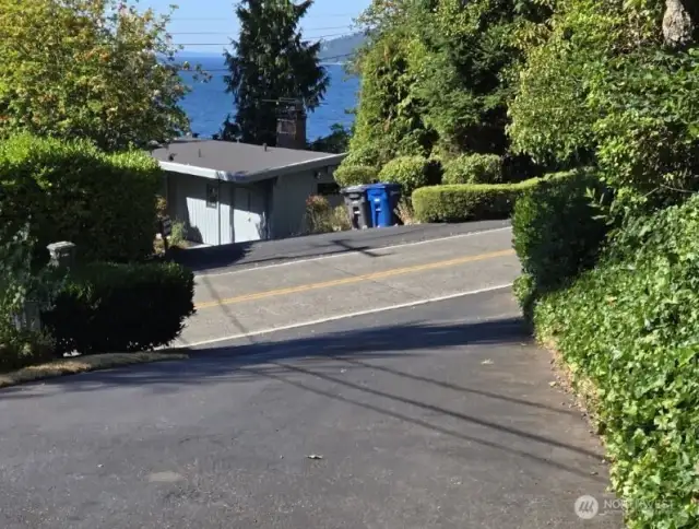 View out Driveway