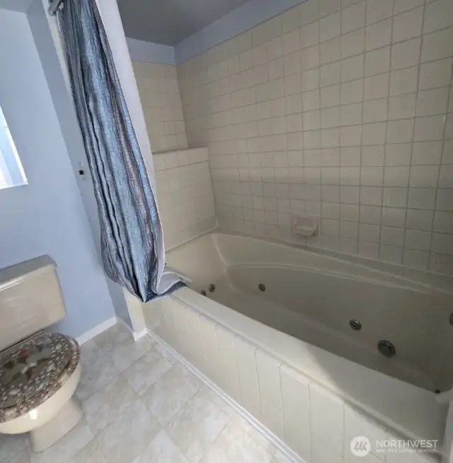 Jetted Tub in Master