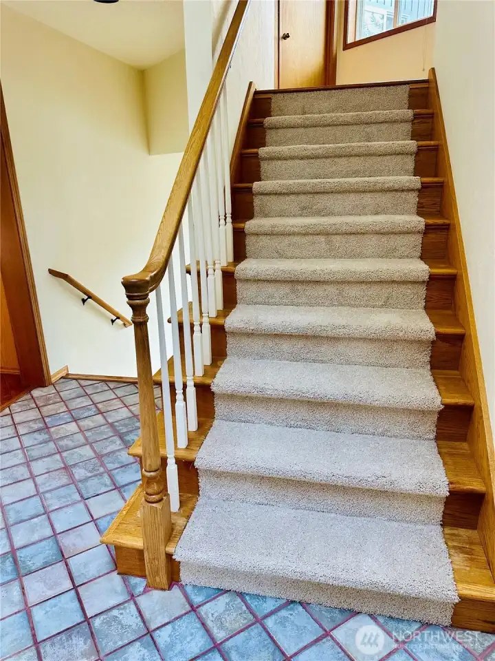 New Carpet on stairs.