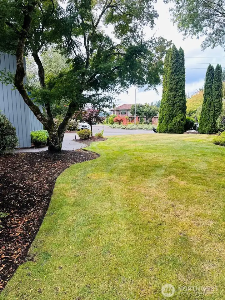 Landscaping on both sides.