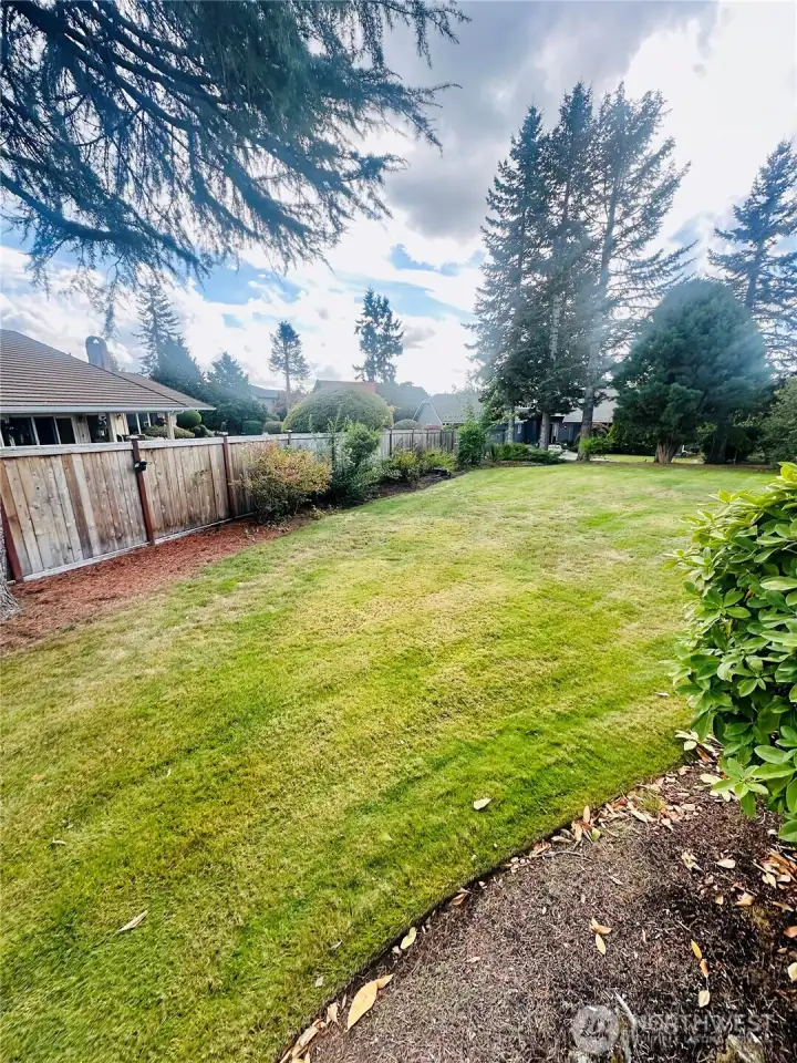 Backyard from back deck.