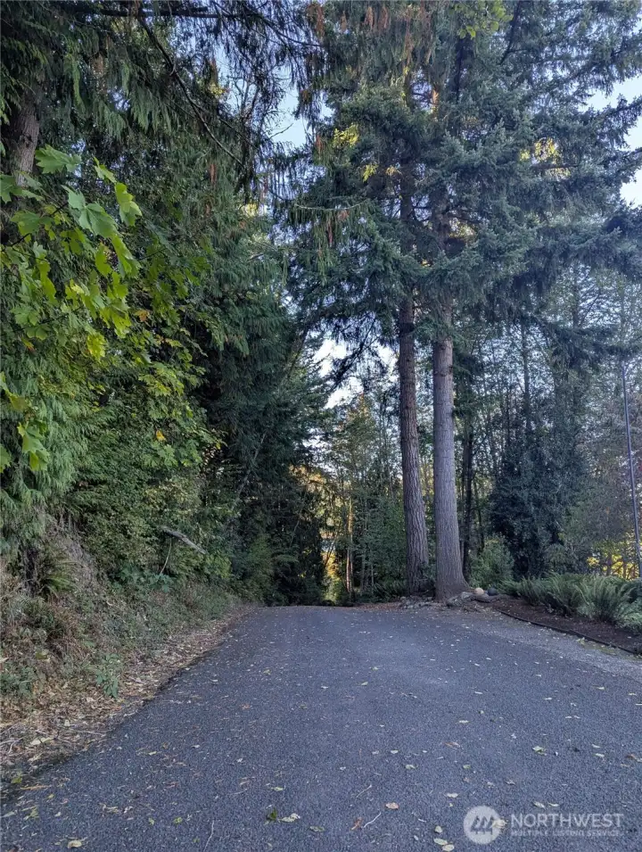 The route to the lake.