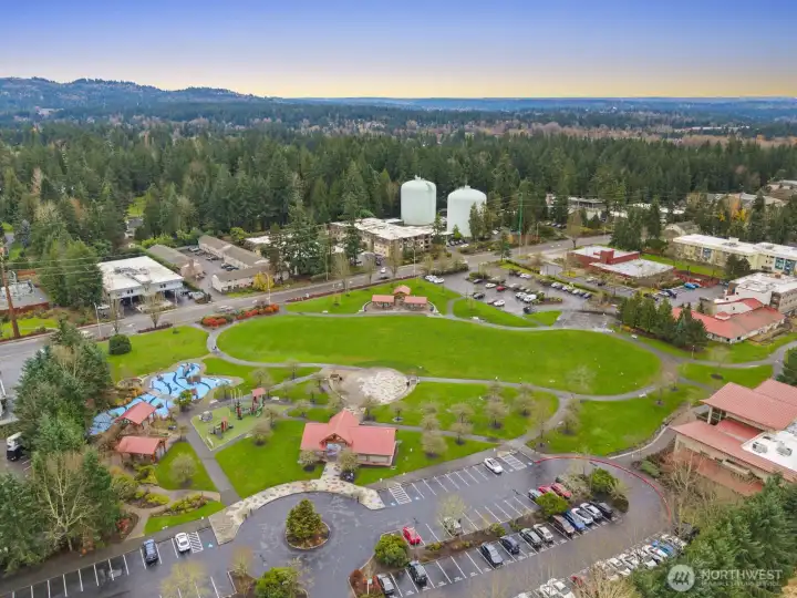 Bellevue's Best Park Across the Street!