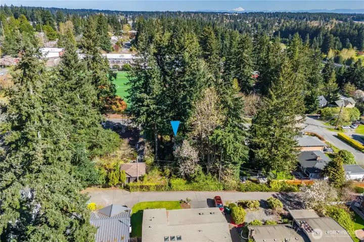 Flanked by an established home on either side, the lot has easy access to utilities in the street.