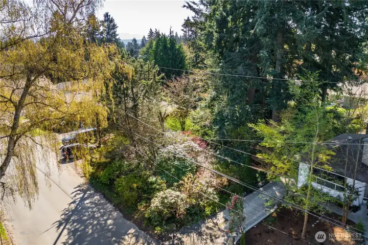 With 7,206 sq ft and a level topography, a creative developer can leverage recent zoning changes to get the best use from the land.