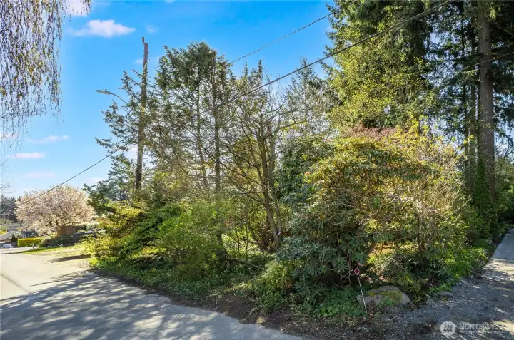 Recent clearing in the lot makes it easy to traverse. Convenient street parking in front. Come take a look!