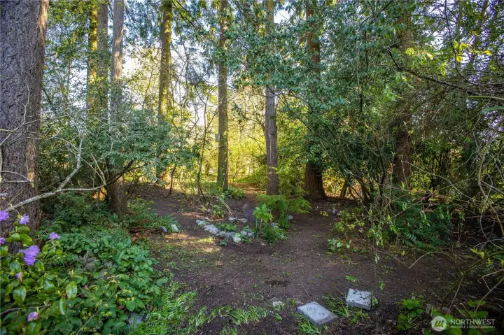 The lot has a combination of small trees and some significant trees. See arborist's report for details.