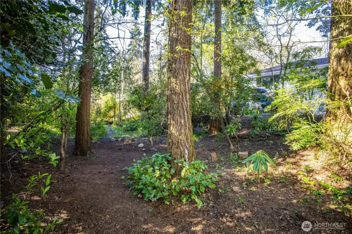 Just a few blocks away is Ingraham High School, Madison Pool, and many shopping destinations and restaurants.