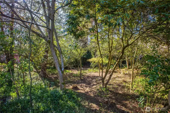 One possibility created in feasibility was a stacked condo building of 4 units (buyer to verify).