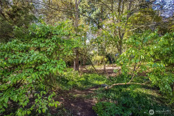 More views of the property.