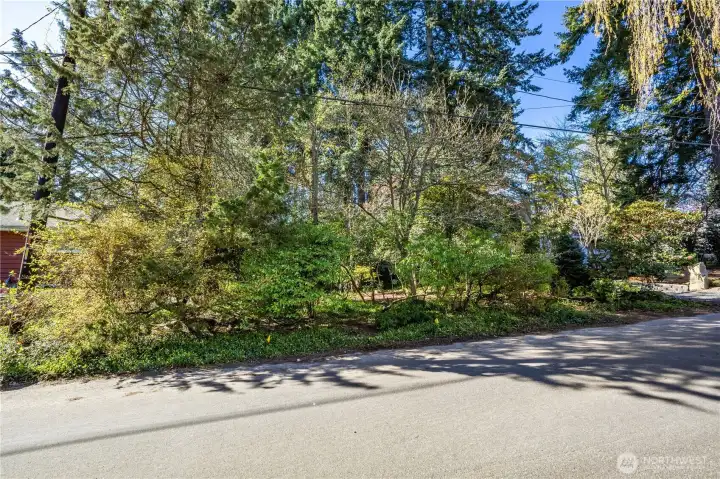 Notice the accessible street frontage, and the level street.
