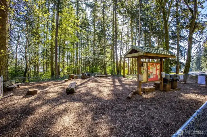 Bring your four-legged furry friends to the Northacres off-leash dog area. It's a fabulous place for dogs to socialize and get their energy out!