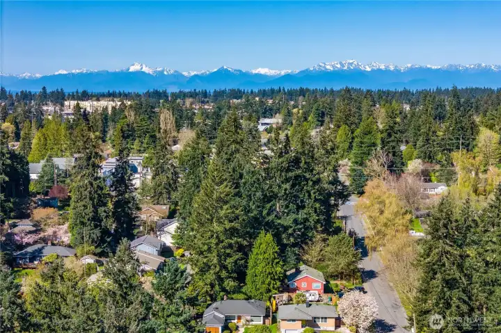 Looking west, a few of the towering and snow-capped Olympics.
