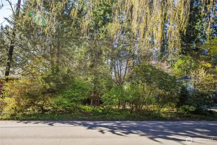 This property is ready for your development ideas and plans! Come make it yours!
