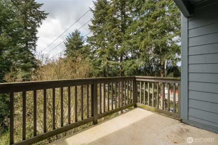 That tree is just starting to put out its spring leaves, and soon it will create a beautiful green screen in front of the balcony. It adds such a peaceful sense of privacy out here.