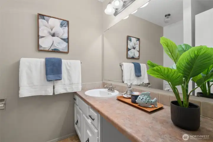 This bathroom recently received a new light fixture, new sink, new faucet, and newer countertop, giving it a nicely refreshed look.
