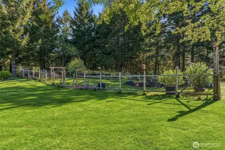 Fenced garden area with green house
