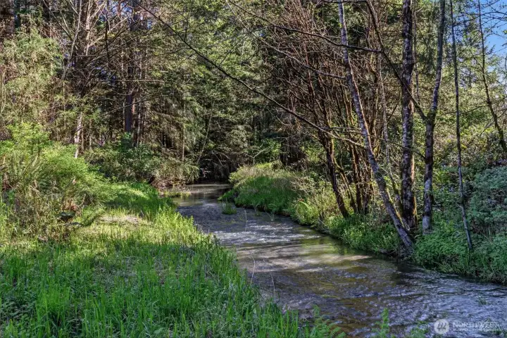 Year round creek runs through the property