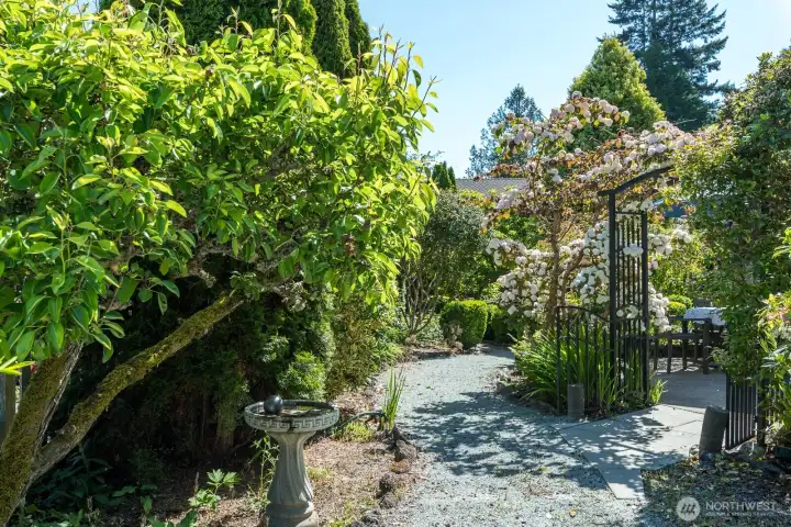 More garden scenes.