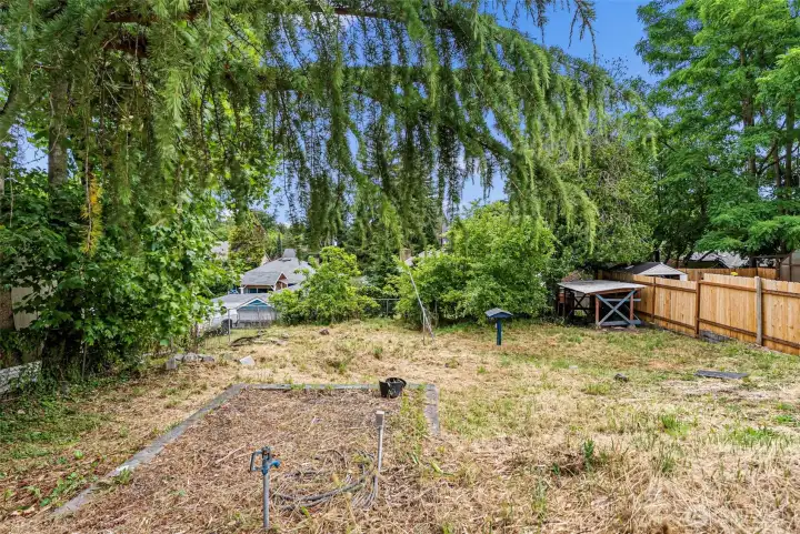 large backyard is your canvase to do how you want