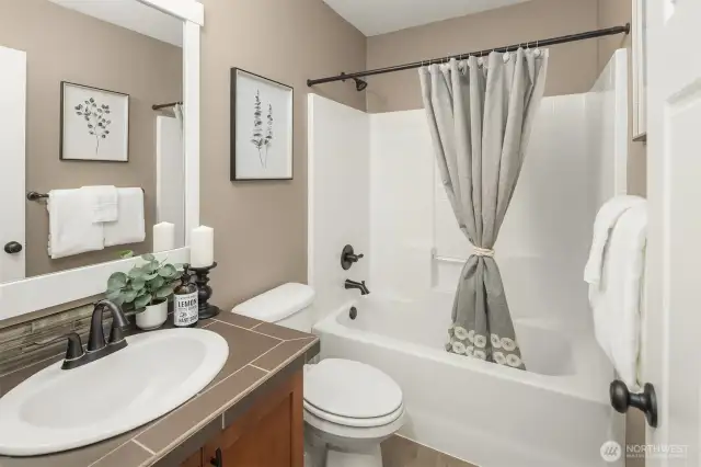 Lower level bathroom