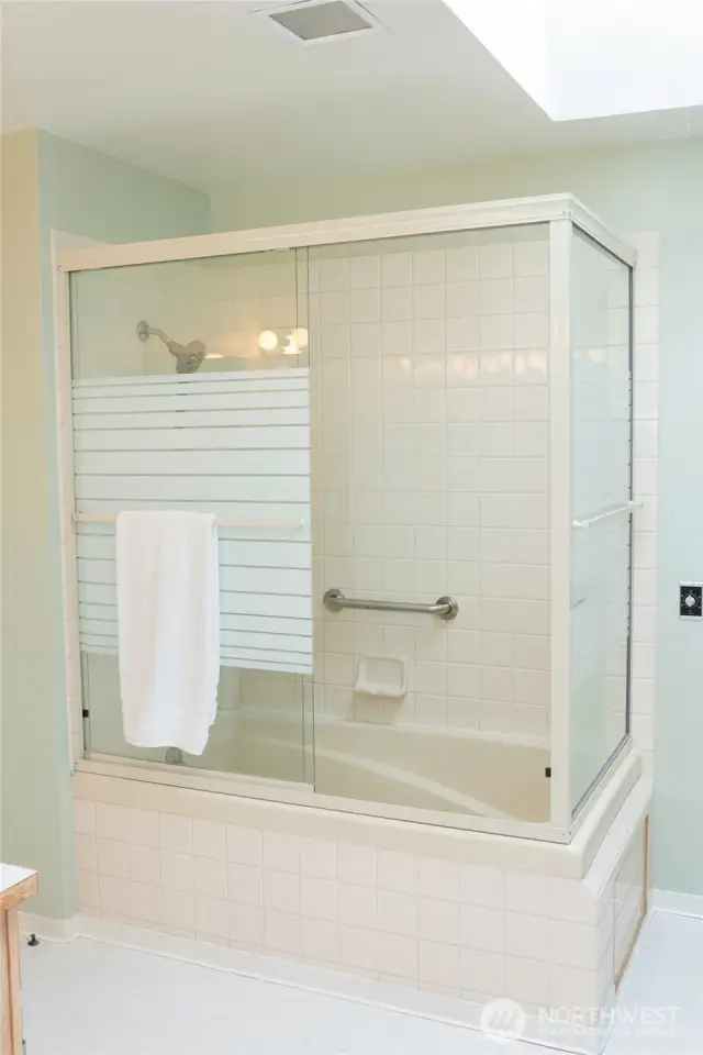 Master bath tub and shower