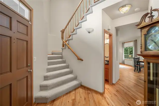 Formal entry leads into the living room, dining room and wraps around to the kitchen and family room.