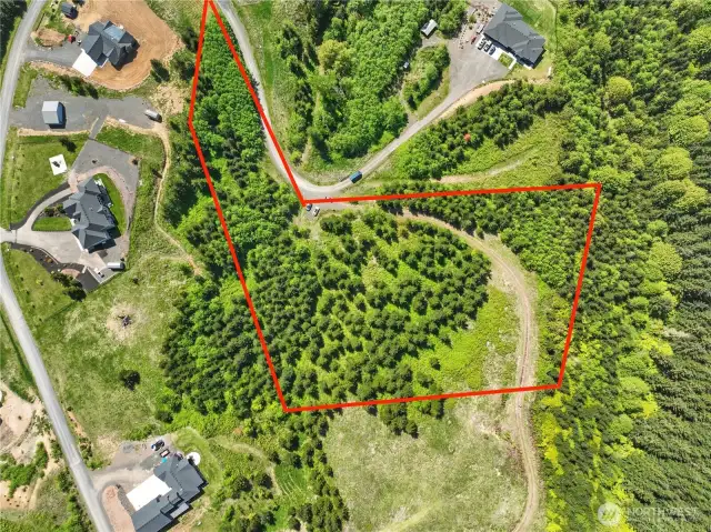Birds Eye Lot lines