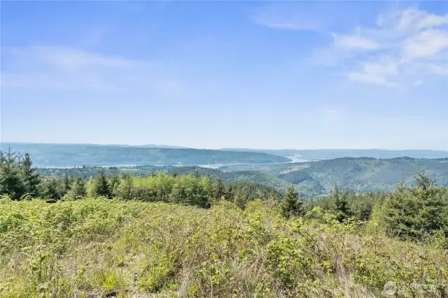180 degree view