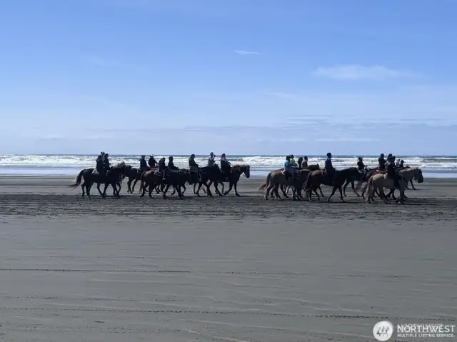 Rent horses on the nearby beach